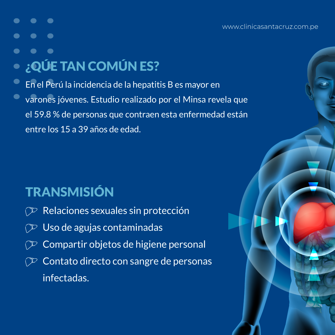 clinica santa cruz