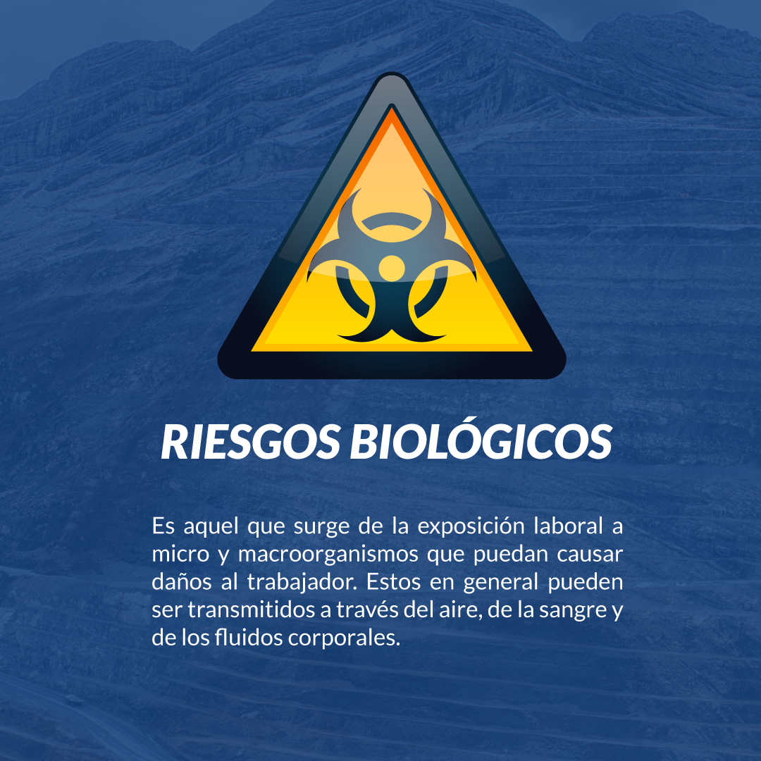 Riesgos Biológicos