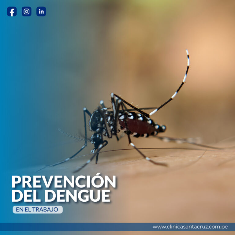 Prevención del dengue en el trabajo
